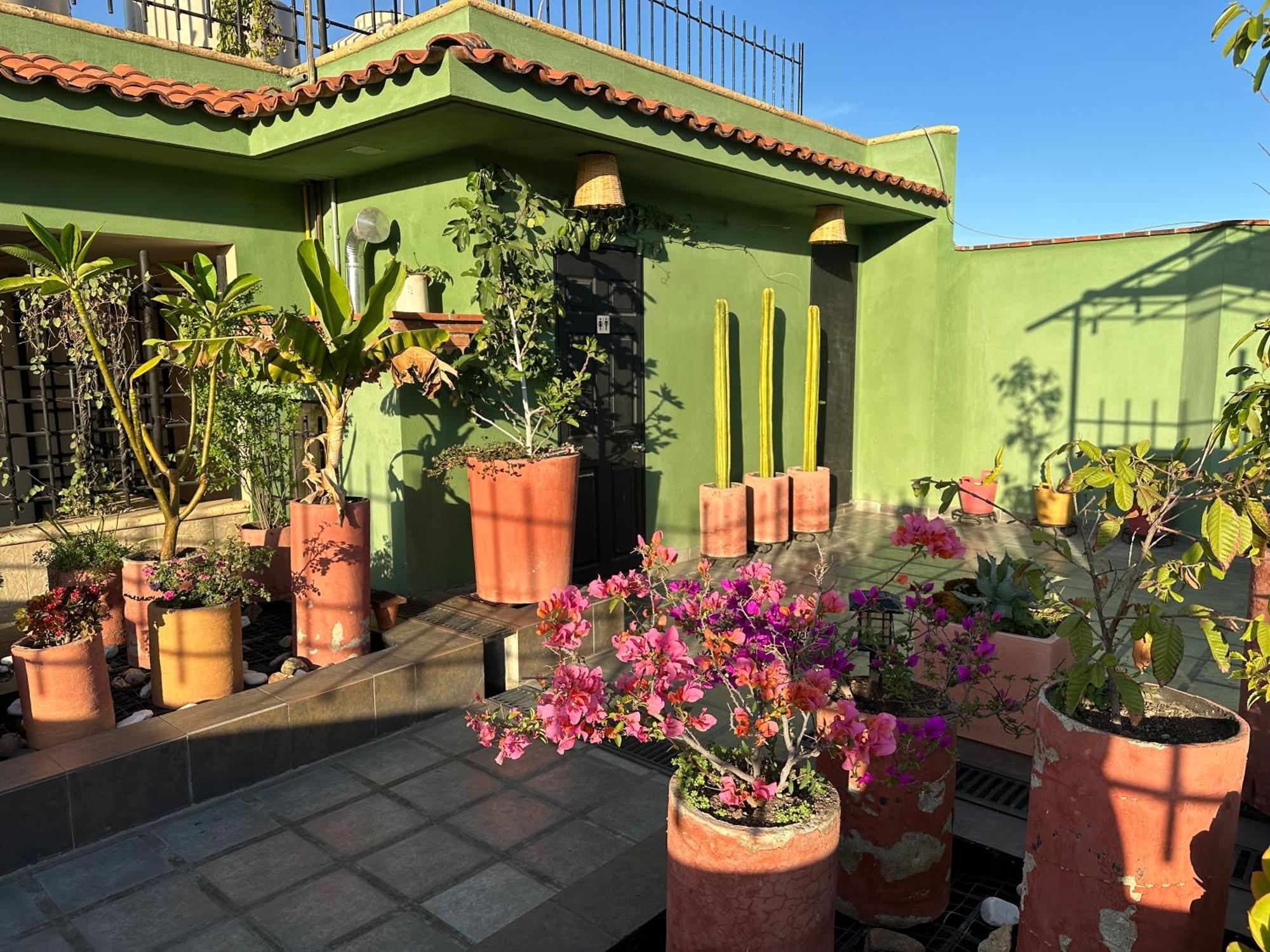 Hostal Nordes Oaxaca Bagian luar foto